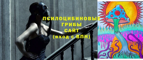 спайс Рославль