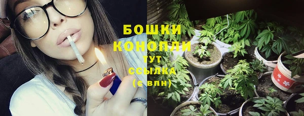 ешки Протвино