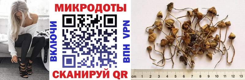 ссылка на мегу зеркало где найти наркотики Солнечногорск Галлюциногенные грибы Magic Shrooms