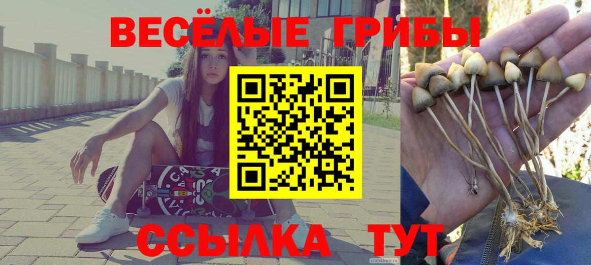 Солнечногорск  Галлюциногенные грибы Psilocybe  как найти закладки  Вход с VPN 