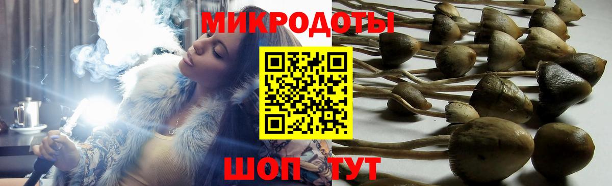 Галлюциногенные грибы Magic Shrooms Солнечногорск